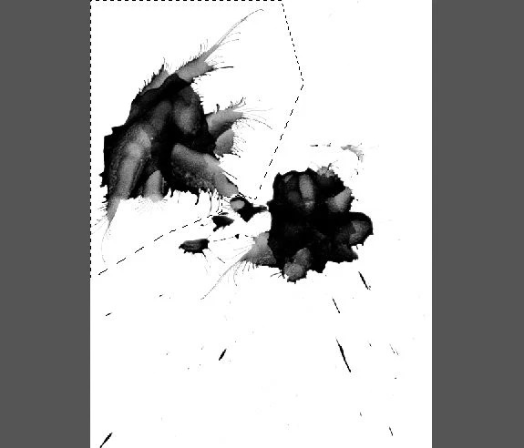 آموزش طراحی پس زمینه ورزشی در فتوشاپ